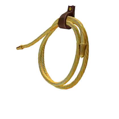 Lasso_of_Truth_e3e736862d