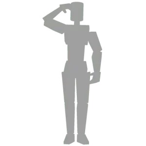 Salute_8aaee0a24a-2