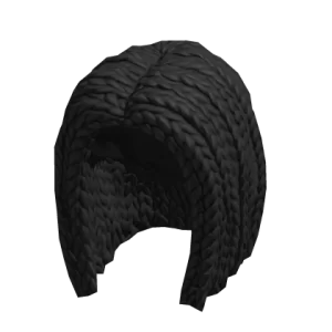 braided_hair_black_d9ca29e83a-2