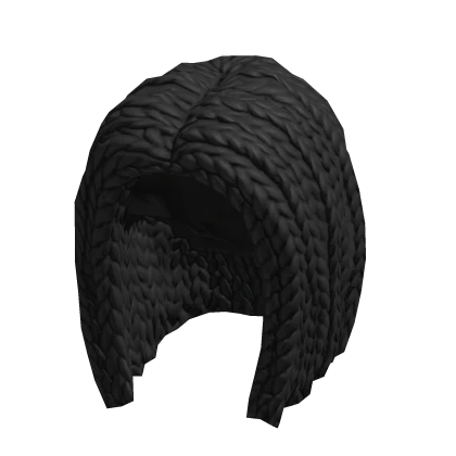 braided_hair_black_d9ca29e83a-2