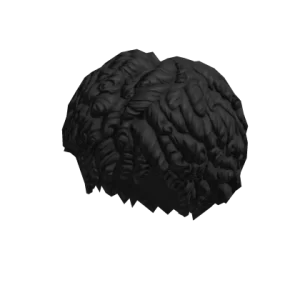 curly_afro_black_cf2ce22274-2