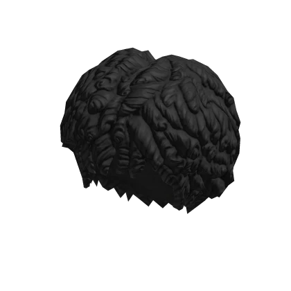 curly_afro_black_cf2ce22274-2