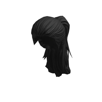 pony_tail_black_45a2c16b99-3